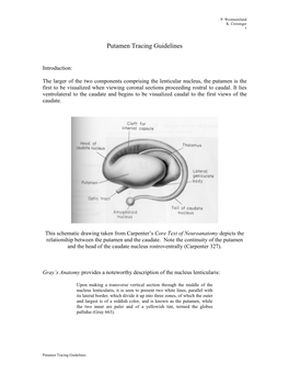 Putamen Tracing Guidelines