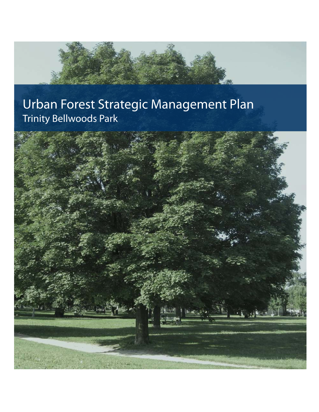 Sustainable Urban Forest Management Plan