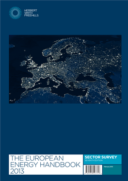 0176E European Energy Handbook 2013