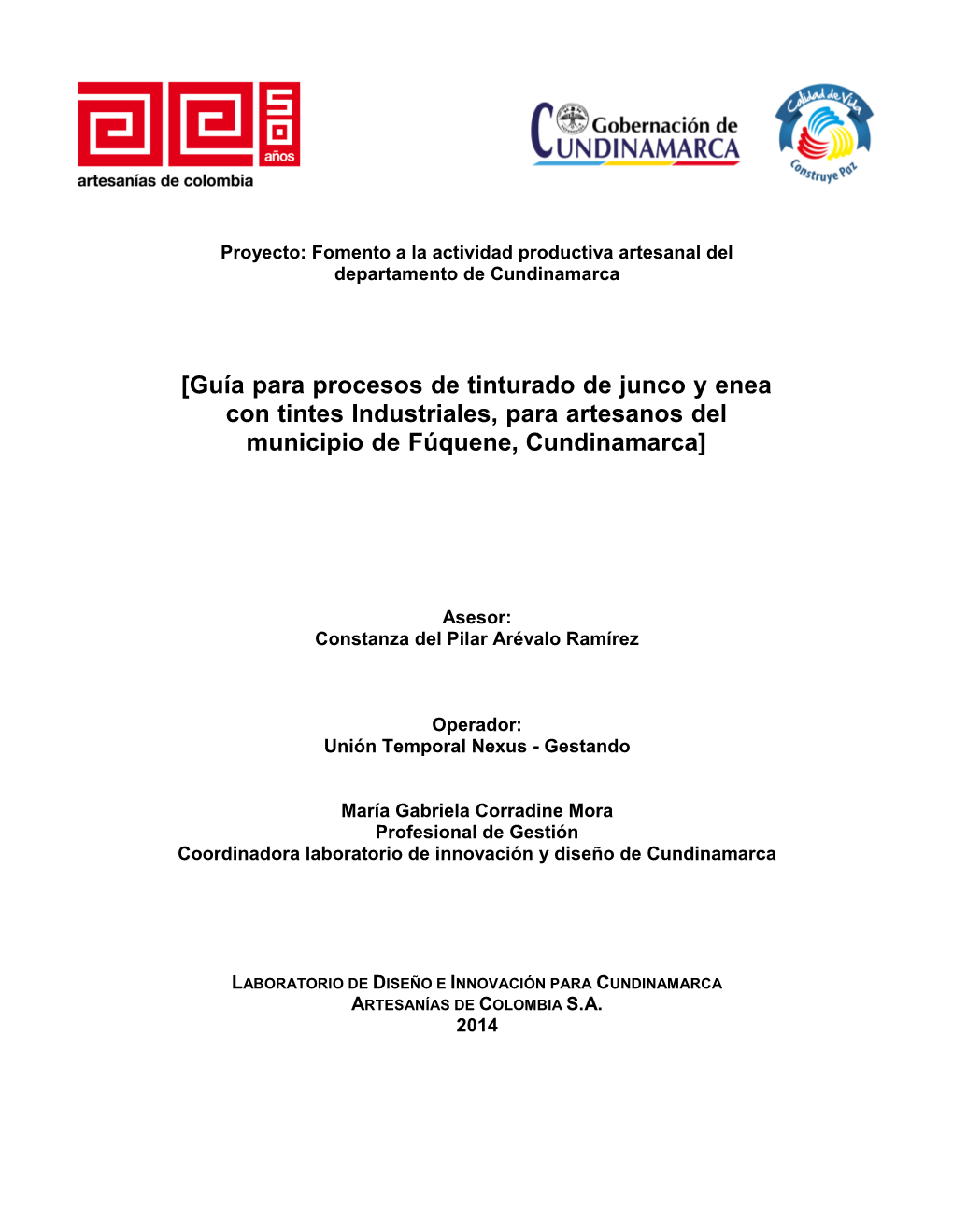 [Guía Para Procesos De Tinturado De Junco Y Enea Con Tintes Industriales, Para Artesanos Del Municipio De Fúquene, Cundinamarca]