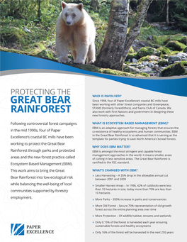 Protecting the Great Bear Rainforest