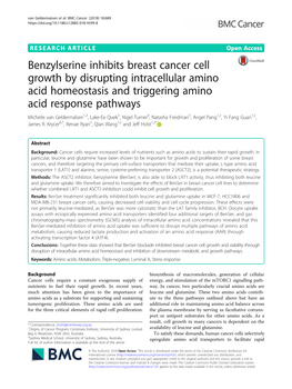 Benzylserine Inhibits Breast Cancer Cell Growth by Disrupting