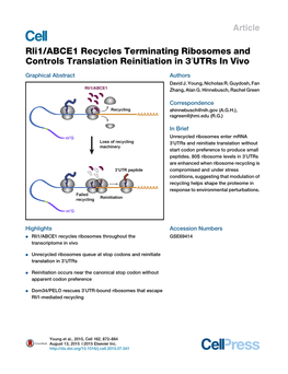 Rli1/ABCE1 Recycles Terminating Ribosomes and Controls Translation Reinitiation in 30Utrs in Vivo