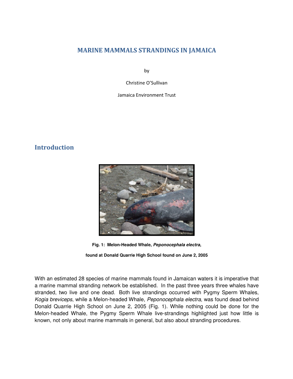 MARINE MAMMALS ST Introduction MARINE MAMMALS STRANDINGS in JAMAICA