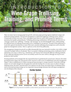 Wine Grape Trellising, Training, and Pruning Terms