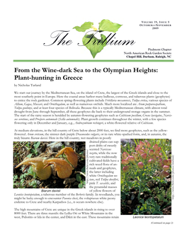 From the Wine-Dark Sea to the Olympian Heights: Plant-Hunting in Greece by Nicholas Turland