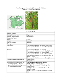 Plant Propagation Protocol for [Carex Aquatilis Wahlenb.] ESRM 412 – Native Plant Production