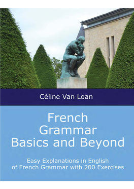 French Grammar Basics and Beyond