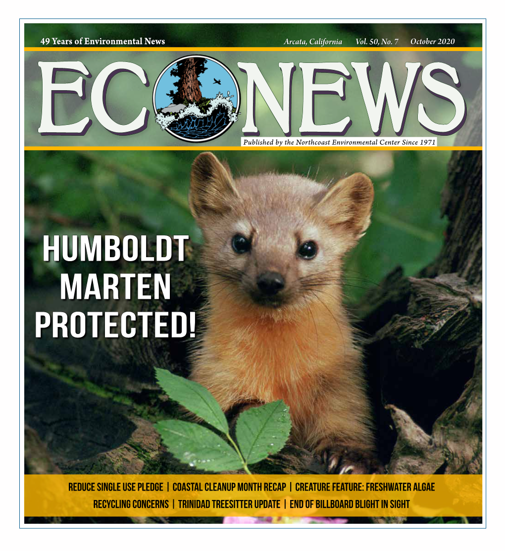 To Download a PDF of Econews October 2020!