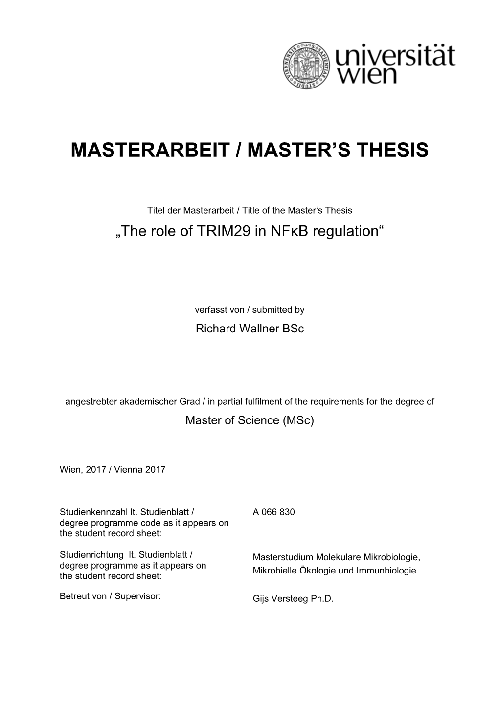 Masterarbeit / Master's Thesis