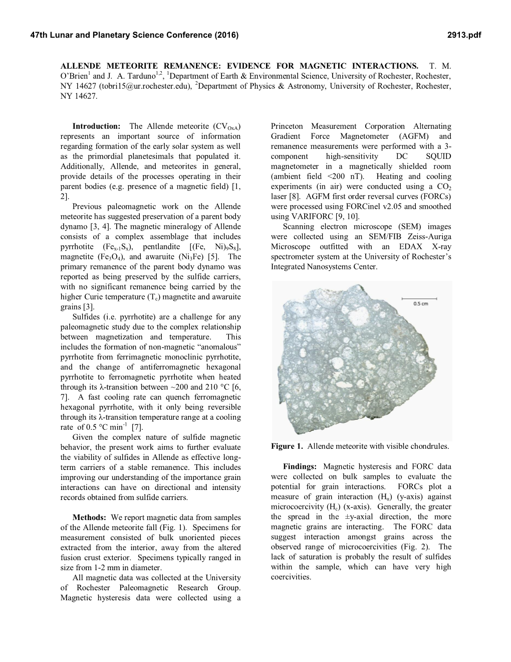 Allende Meteorite Remanence: Evidence for Magnetic Interactions