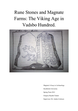Rune Stones and Magnate Farms: the Viking Age in Vadsbo Hundred