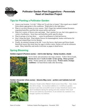 Heart of Uwchlan Pollinator Garden Plant Suggestions – Perennials 2020 Page 1