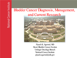Bladder Cancer Diagnosis Management and Current Research