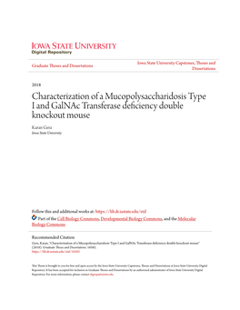 Characterization of a Mucopolysaccharidosis Type I and Galnac Transferase Deficiency Double Knockout Mouse Karan Gera Iowa State University