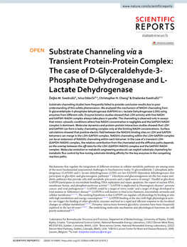 Substrate Channeling Via a Transient Protein-Protein Complex: the Case of D-Glyceraldehyde-3- Phosphate Dehydrogenase and L- Lactate Dehydrogenase Željko M