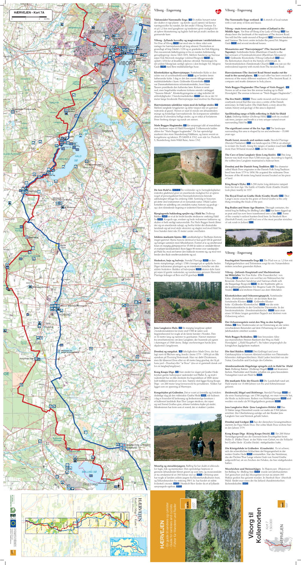 Engesvang Viborg Feuchtgebiet Nørremølle Enge Viborg - Engesvang Viborg Enge Wetland