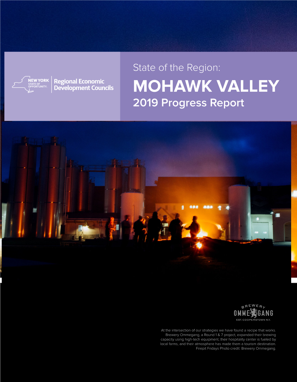 MOHAWK VALLEY 2019 Progress Report