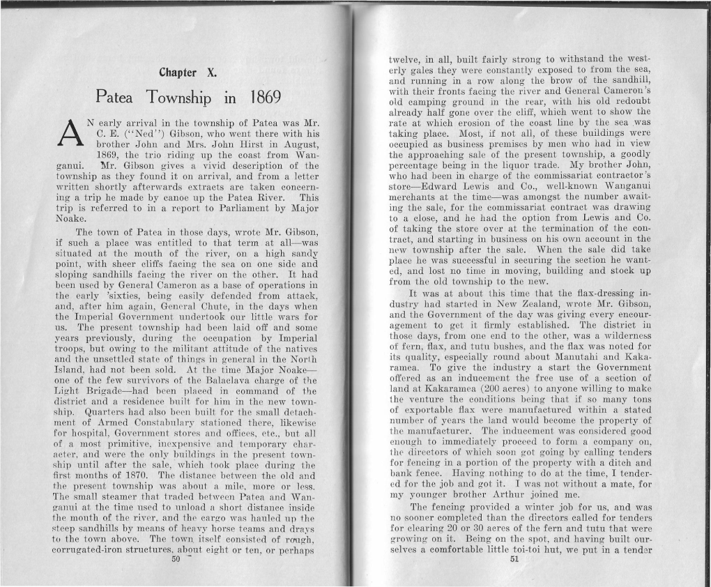 Patea Township in 1869