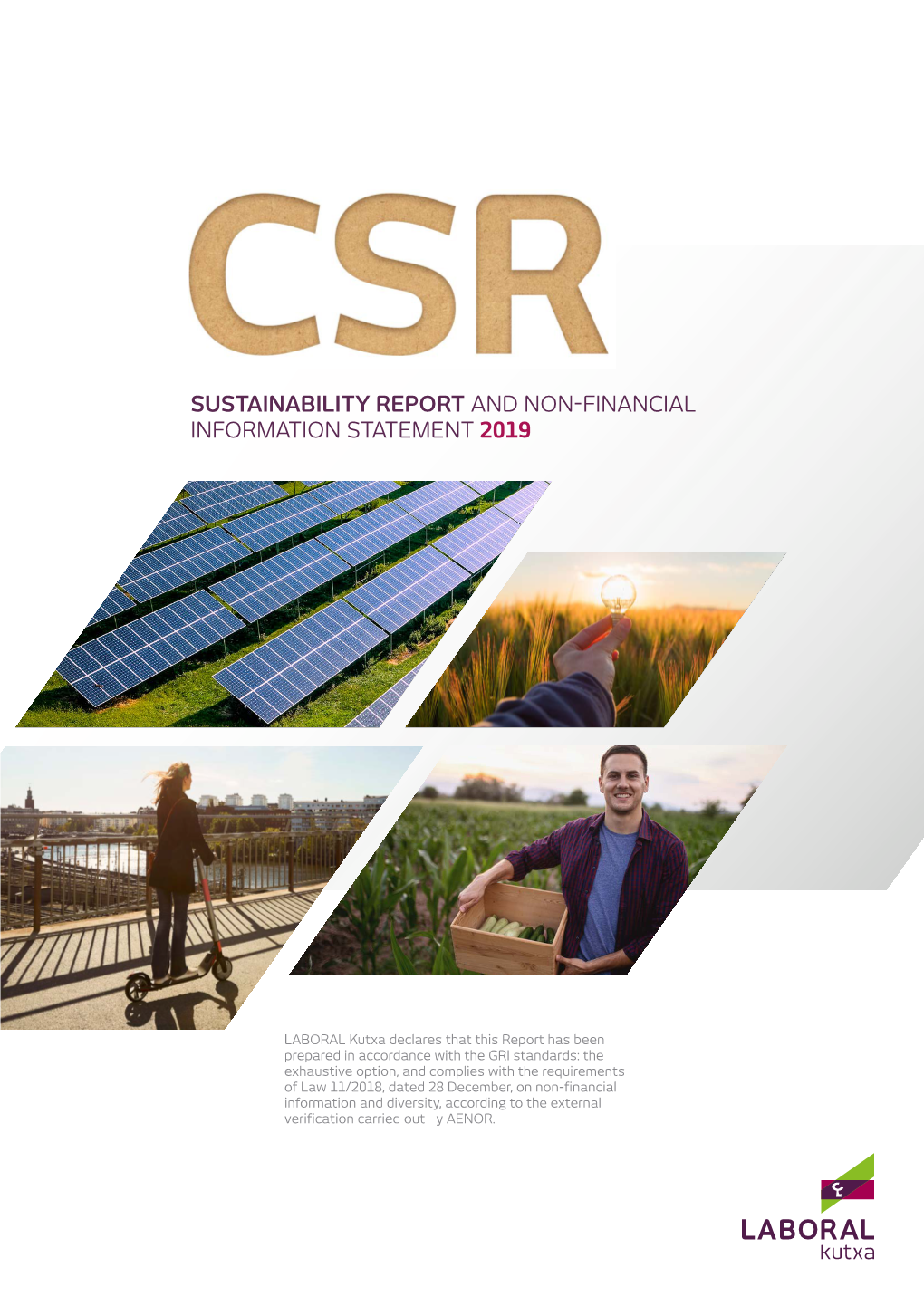 Sustainability Report and Non-Financial Information Statement 2019