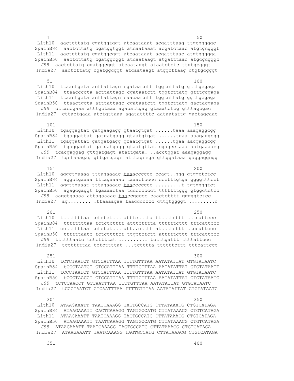 Pileup of Remnant Orf1-Orf2 Element (PCR Fragment Jhp959+Jhp962)