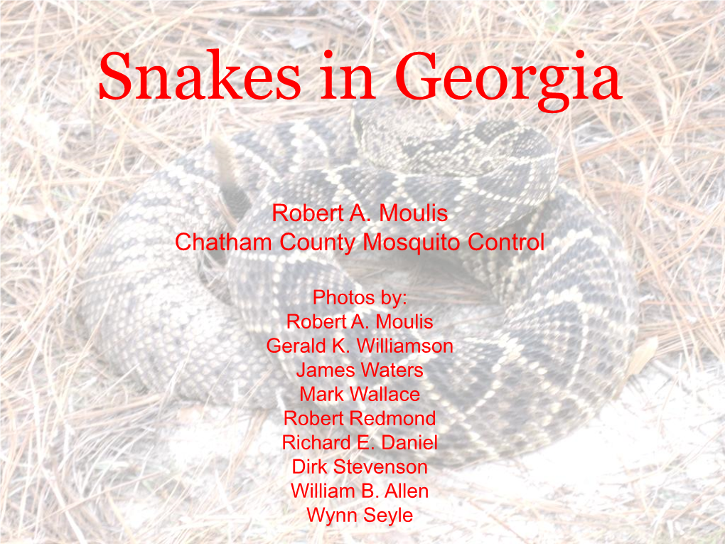 Snakes in Georgia