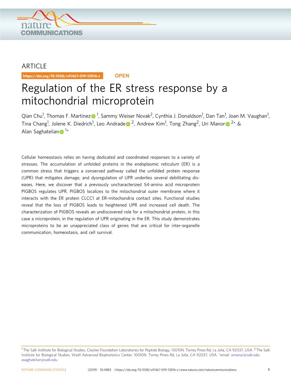 Regulation of the ER Stress Response by a Mitochondrial Microprotein