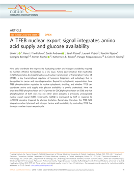 A TFEB Nuclear Export Signal Integrates Amino Acid Supply and Glucose Availability