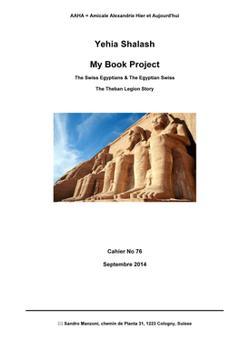 Yehia Shalash My Book Project