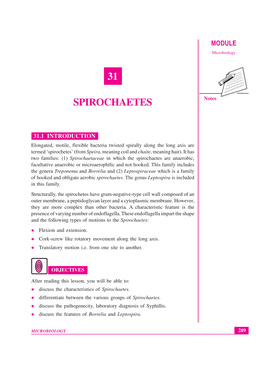 Lesson 31. Spirochetes