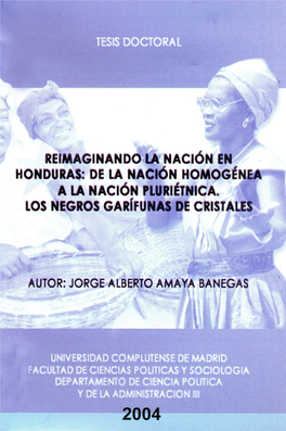"Nación Homogénea" a La "Nación Plurietnica"
