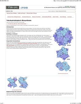 Tetrahydrobiopterin Biosynthesis As an Off-Target of Sulfa Drugs