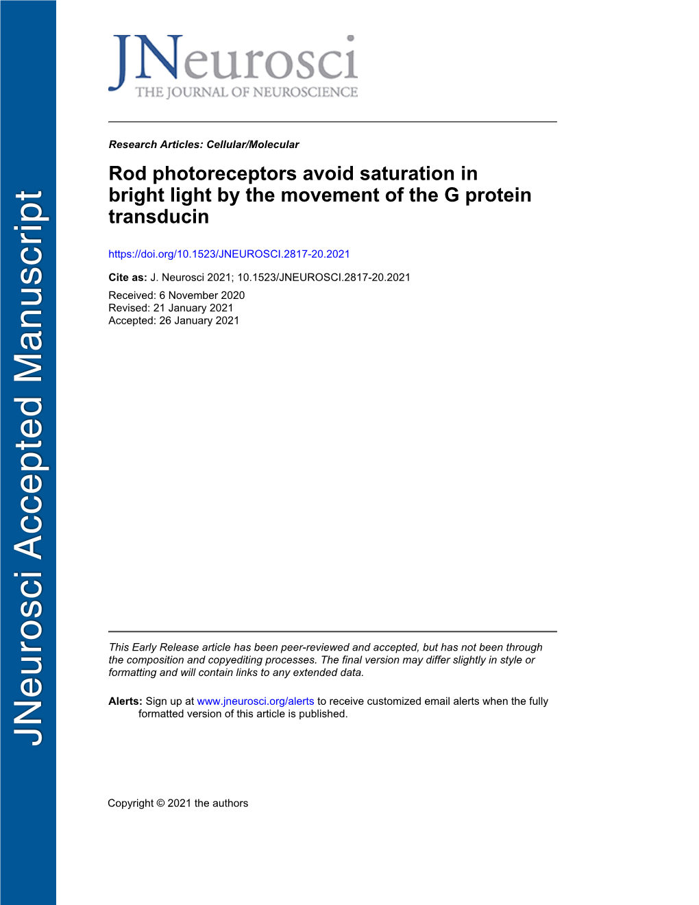 Rod Photoreceptors Avoid Saturation in Bright Light by the Movement of the G Protein Transducin