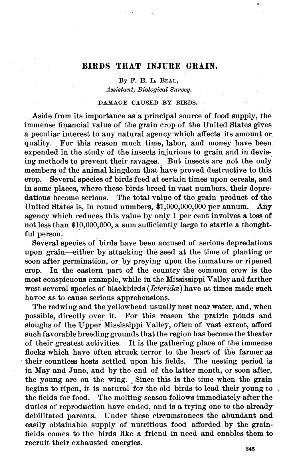 BIRDS THAT INJURE GRAIN. Aside from Its Importance As a Principal Source of Food Supply, the Immense Financial Value of the G