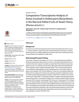 Comparative Transcriptome Analysis of Genes Involved in Anthocyanin Biosynthesis in the Red and Yellow Fruits of Sweet Cherry (Prunus Avium L.)