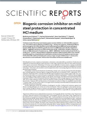 Biogenic Corrosion Inhibitor on Mild Steel Protection in Concentrated Hcl