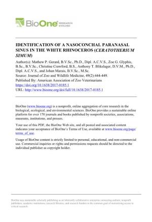 Nasoconchal Paranasal Sinus in White Rhino