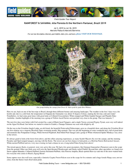 Alta Floresta & the Northern Pantanal, Brazil 2019