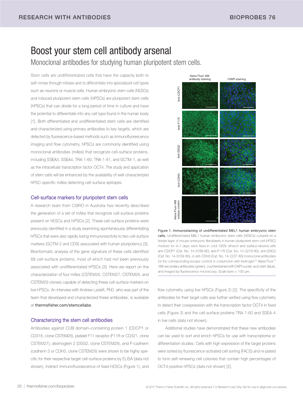 Boost Your Stem Cell Antibody Arsenal Monoclonal Antibodies for Studying Human Pluripotent Stem Cells