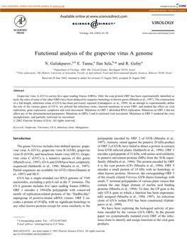Functional Analysis of the Grapevine Virus a Genome