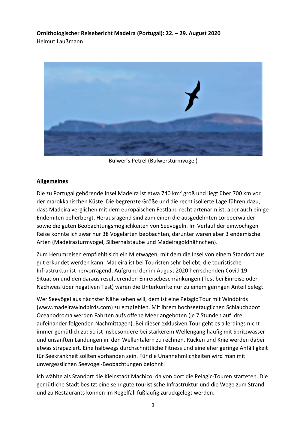 (Portugal): 22. – 29. August 2020 Helmut Laußmann Bulwer's Petrel