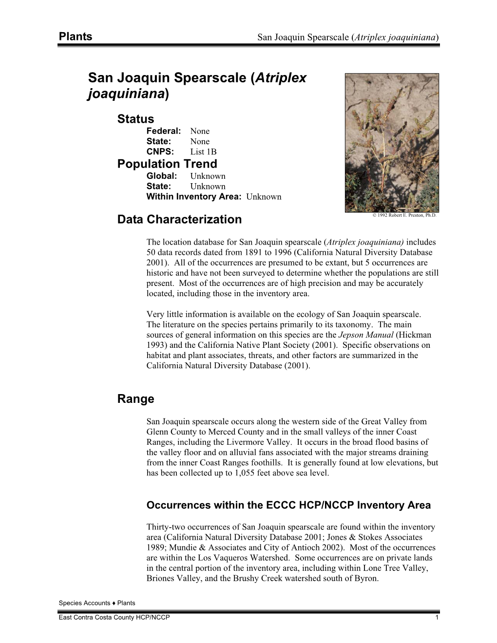 San Joaquin Spearscale (Atriplex Joaquiniana) Species Profile