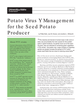 Potato Virus Y Management for the Seed Potato