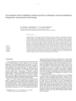 An Evaluation of the Endophytic Colonies Present in Pathogenic and Non-Pathogenic Vanguerieae Using Electron Microscopy