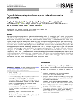 Organohalide-Respiring Desulfoluna Species Isolated from Marine Environments