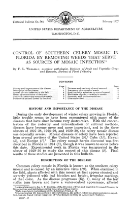 Control of Southern Celery Mosaic in Florida by Removing Weeds That Serve As Sources of Mosaic Infection '
