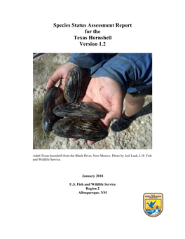 Species Status Assessment Report for the Texas Hornshell Version 1.2