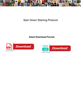 Sybr Green Staining Protocol