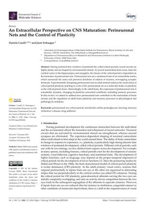 An Extracellular Perspective on CNS Maturation: Perineuronal Nets and the Control of Plasticity