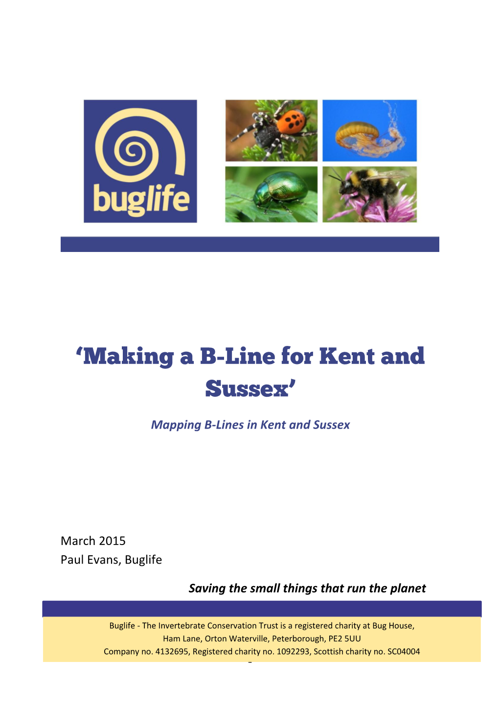 'Making a B-Line for Kent and Sussex'